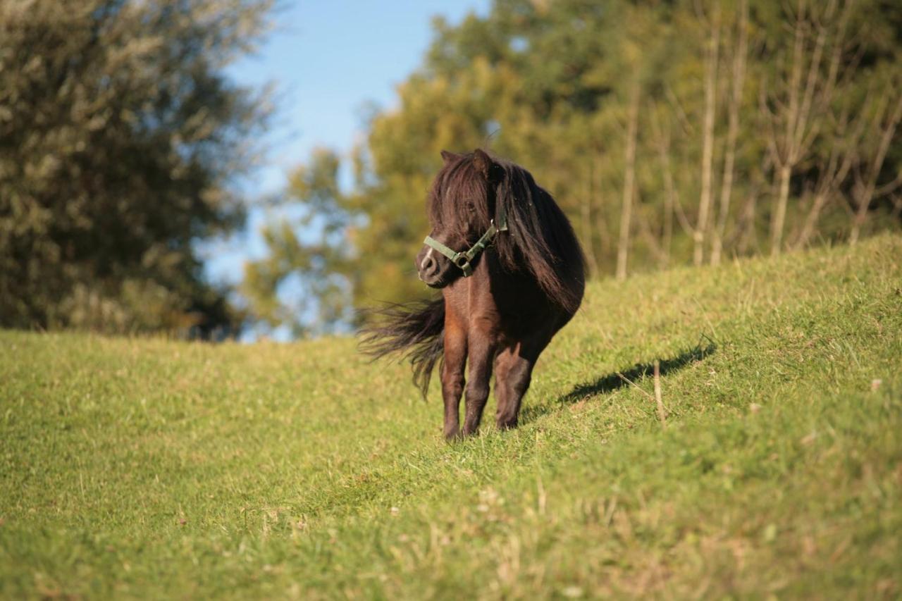 Ferienhof Muehlthal Edling Zewnętrze zdjęcie