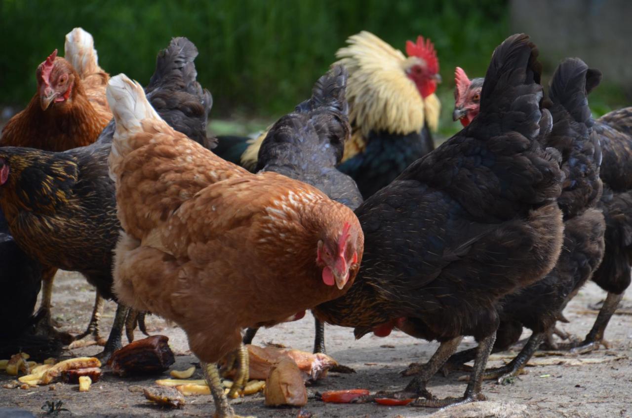 Ferienhof Muehlthal Edling Zewnętrze zdjęcie